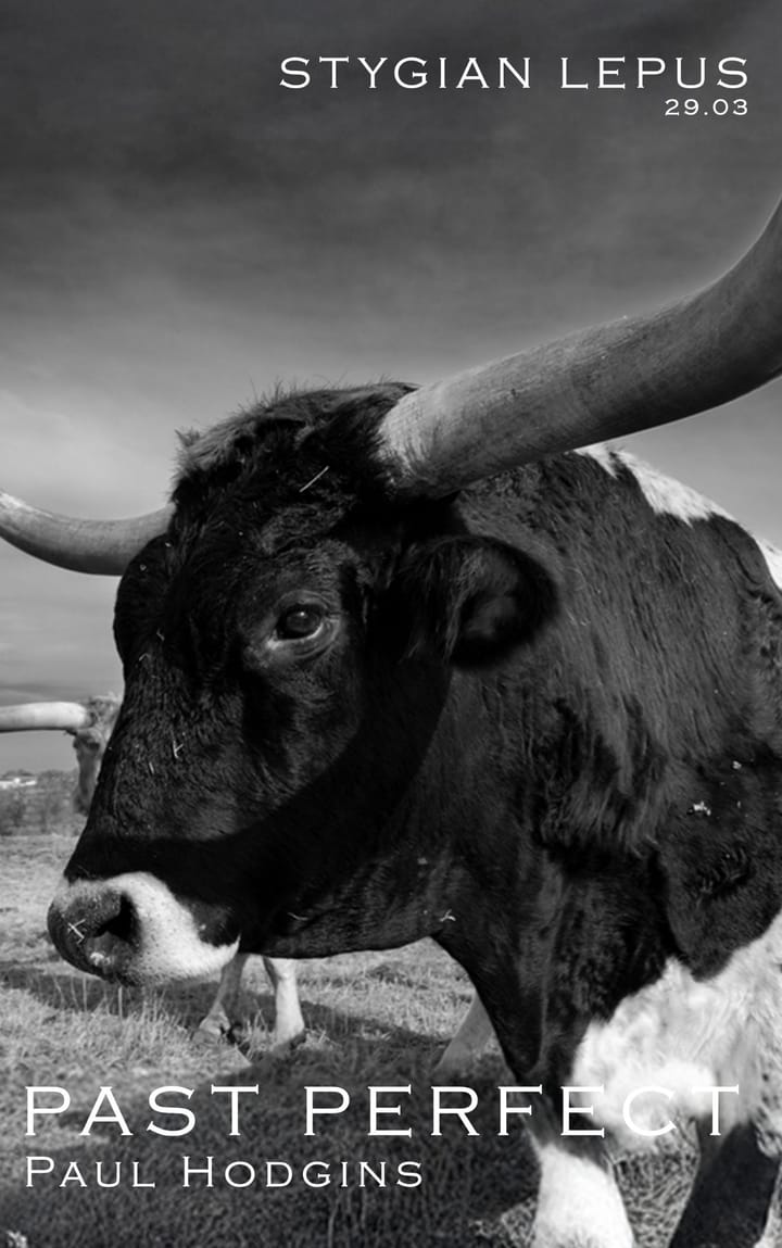 Past Perfect by Paul Hodgins