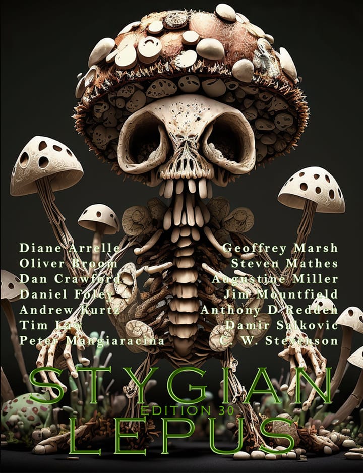 Edition 30 - OUT NOW